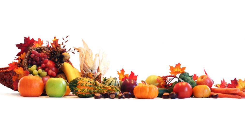 Thanksgiving cornucopia filled with autumn fruits and vegetables spread out to create a border.