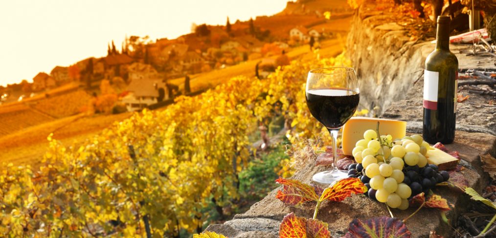 Glass of wine on a terrace during fall.