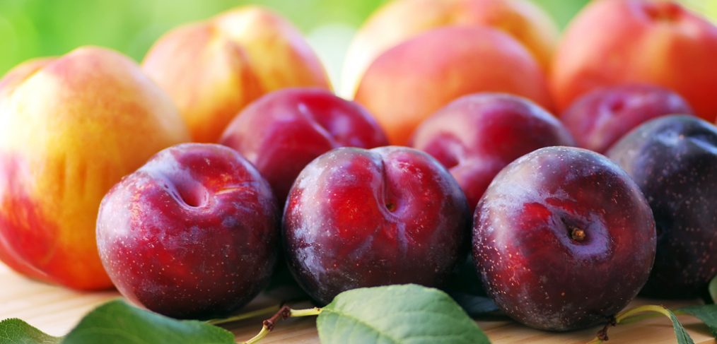 Peaches and Plums