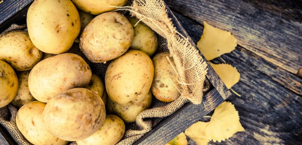 Fresh potatoes on table