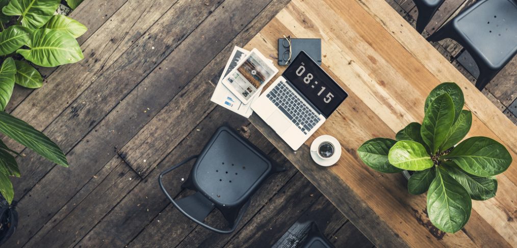 Flat lay of laptop and plant