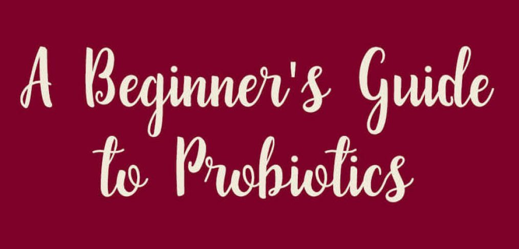 Header of Beginner's Guide to Probiotics